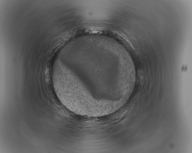 X0000095511442200801111402