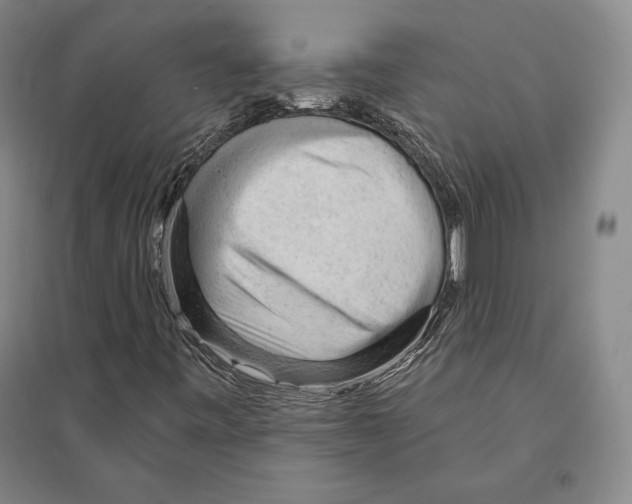 X0000095511443200801111402