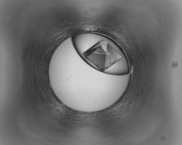 X0000095511444200801111402