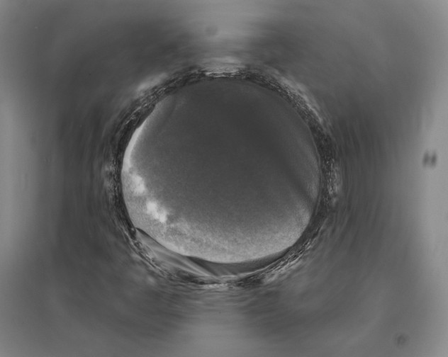 X0000095511445200801111402