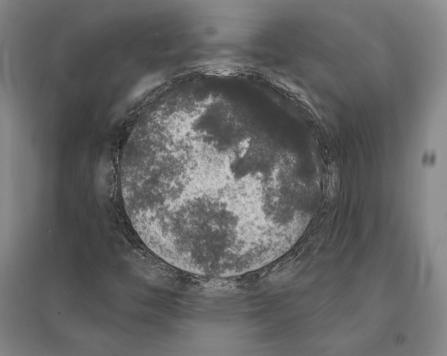 X0000095511446200801111402