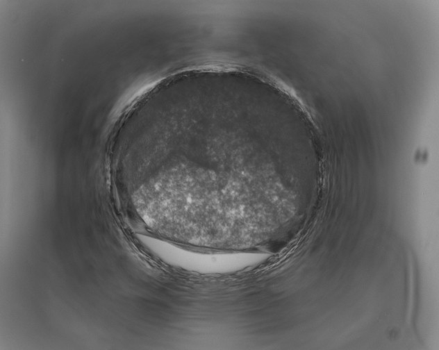 X0000095511448200801111402