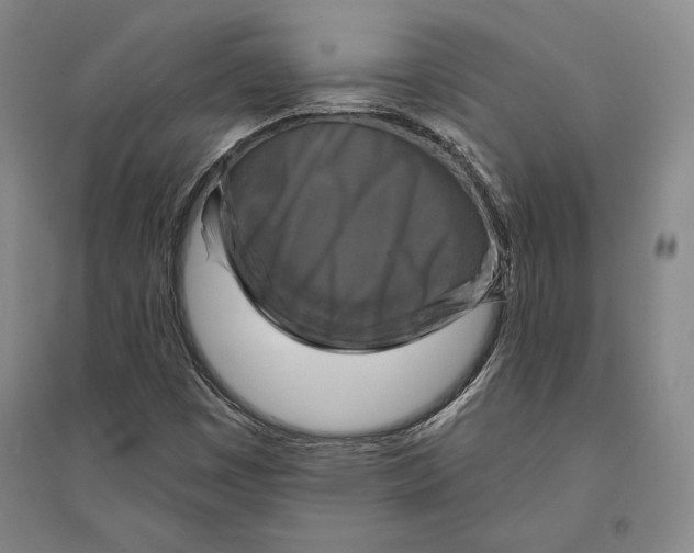 X0000095511449200801111402