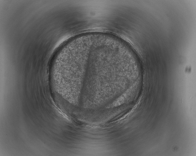 X0000095511450200801111402