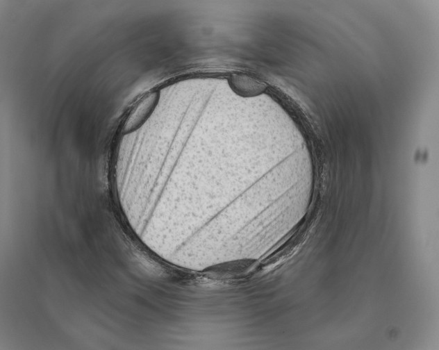 X0000095511451200801111402