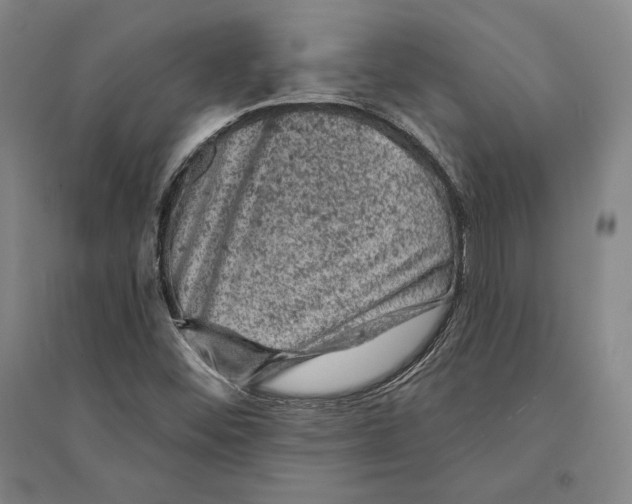 X0000095511452200801111402