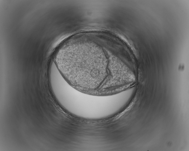 X0000095511453200801111402