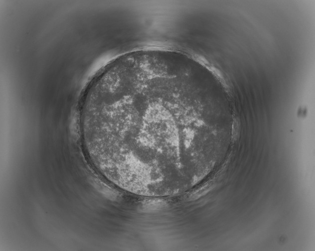 X0000095511454200801111402