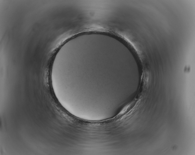 X0000095511455200801111402