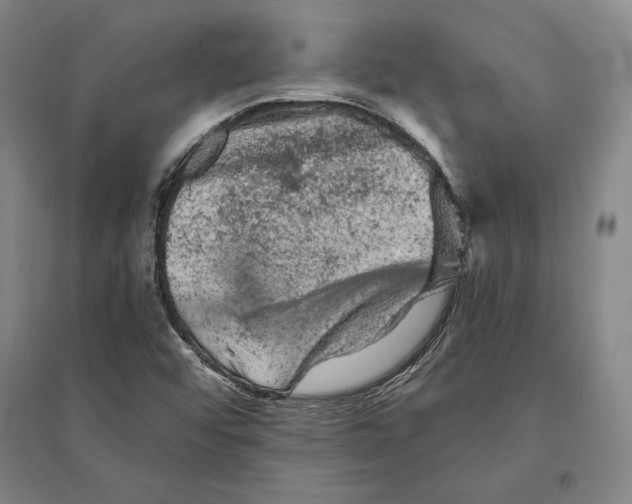 X0000095511456200801111402