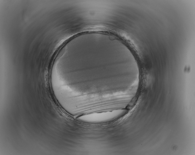 X0000095511457200801111402