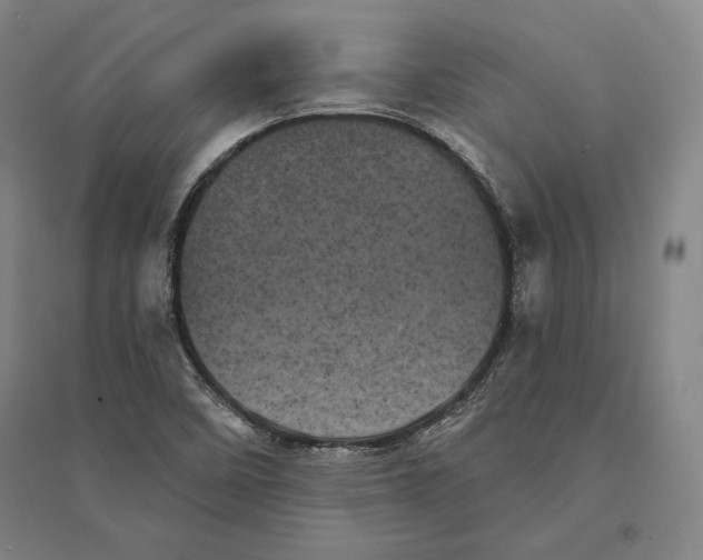 X0000095511458200801111402