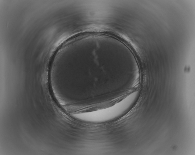 X0000095511459200801111402