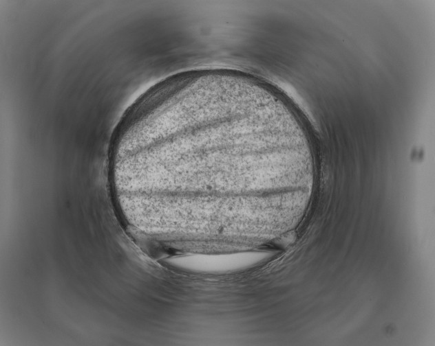 X0000095511460200801111402