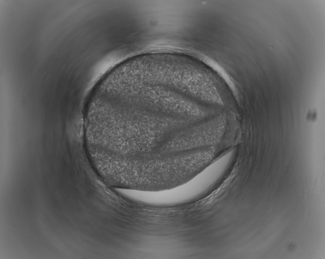 X0000095511461200801111402