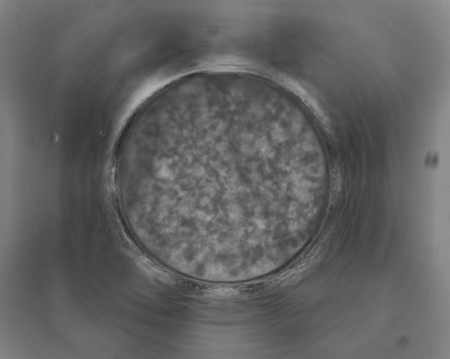 X0000095511462200801111402