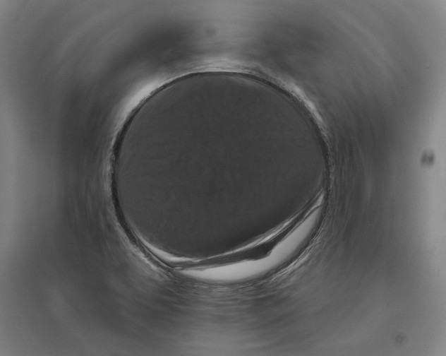 X0000095511463200801111402