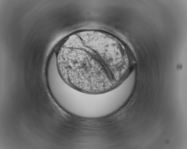 X0000095511464200801111402