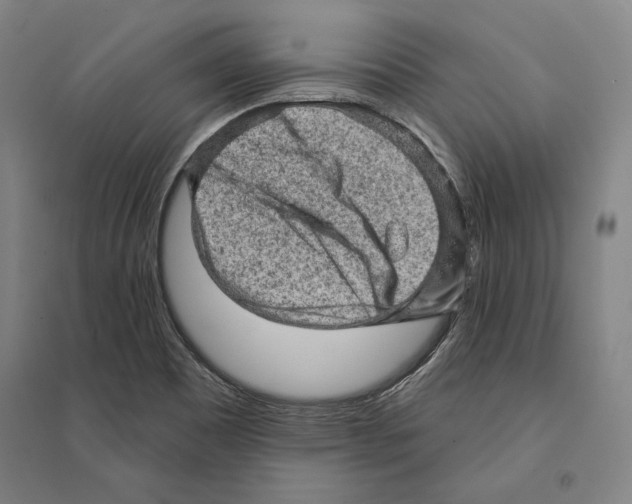 X0000095511465200801111402