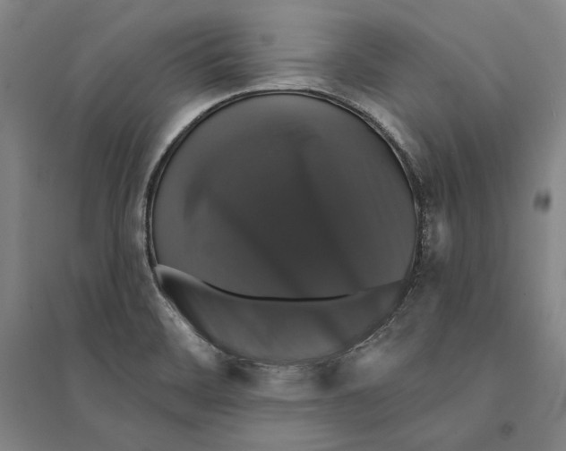 X0000095511468200801111402