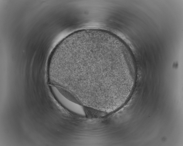 X0000095511469200801111402