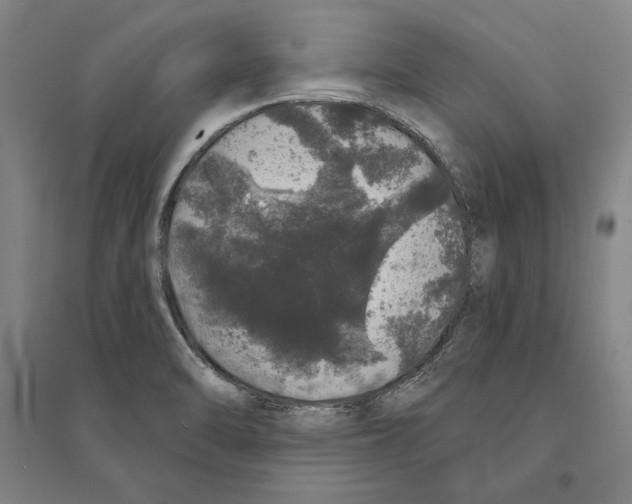 X0000095511470200801111402