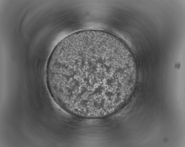 X0000095511471200801111402