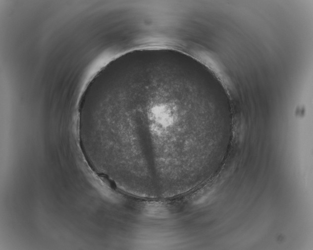 X0000095511472200801111402