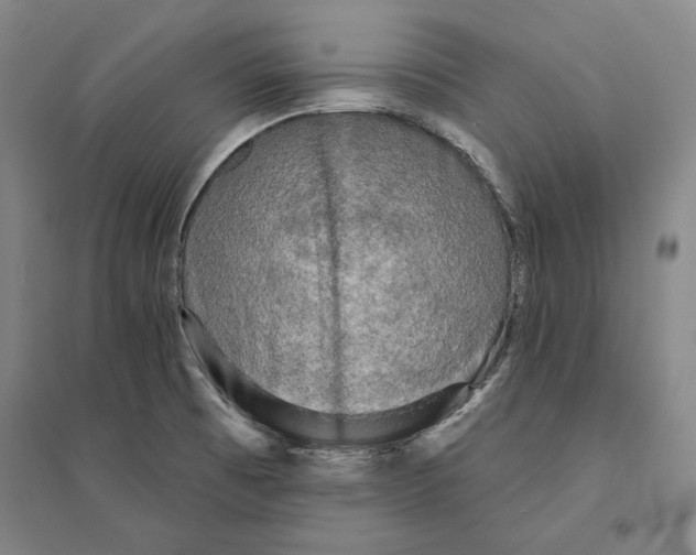 X0000095511473200801111402