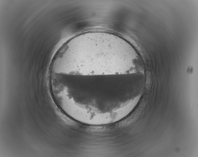 X0000095511474200801111402