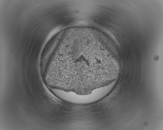 X0000095511475200801111402