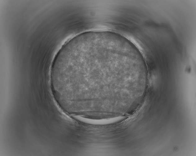 X0000095511477200801111402