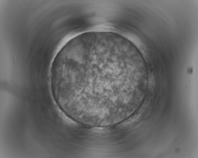 X0000095511478200801111402