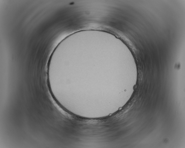 X0000095511479200801111402