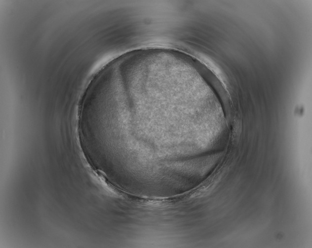 X0000095511480200801111402