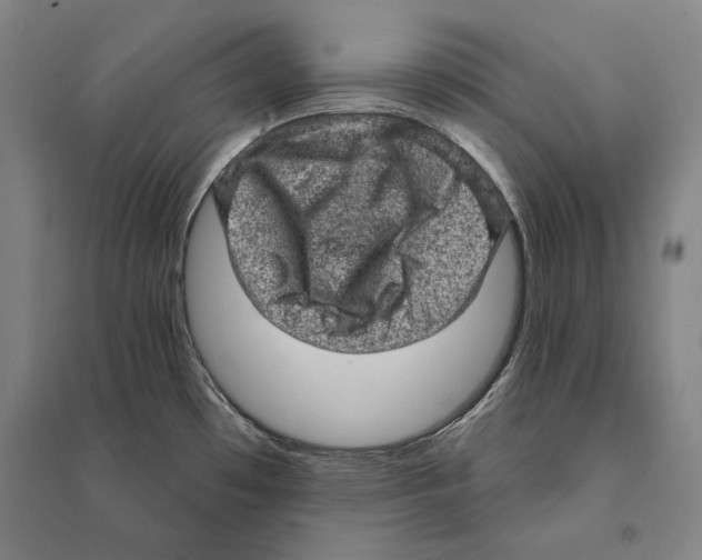 X0000095511481200801111402