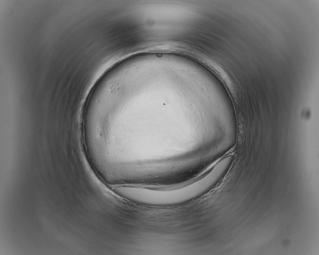 X0000095511483200801111402