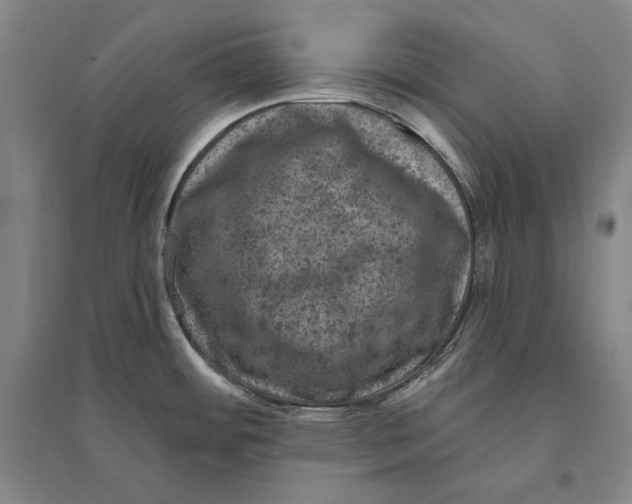 X0000095511484200801111402