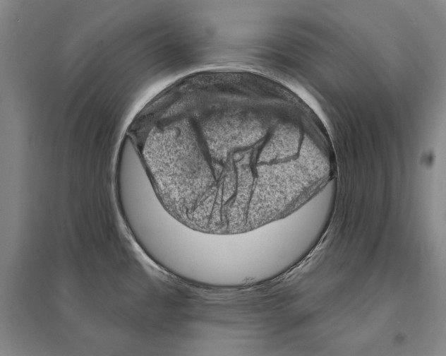 X0000095511485200801111402