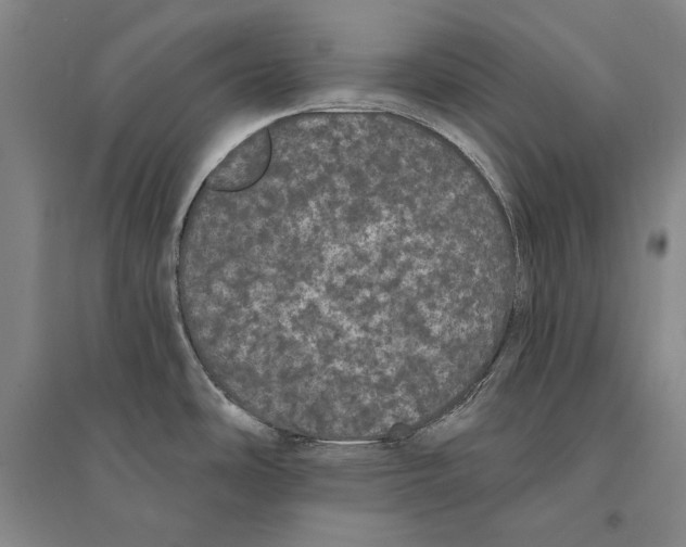 X0000095511486200801111402