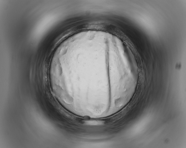 X0000095511487200801111402