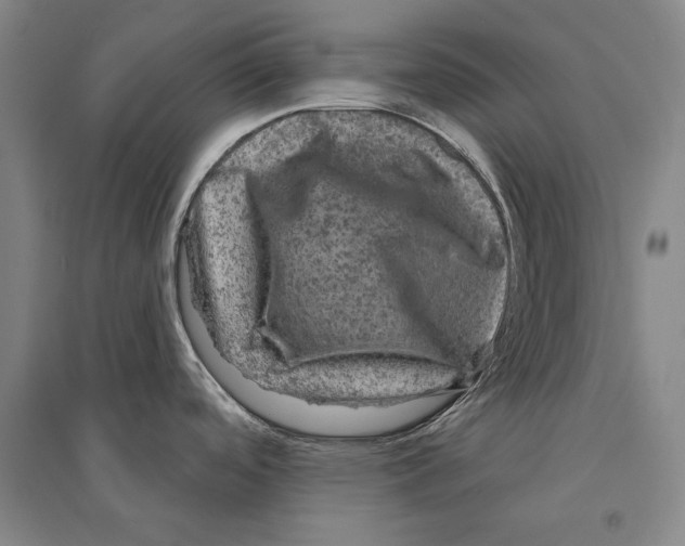 X0000095511488200801111402