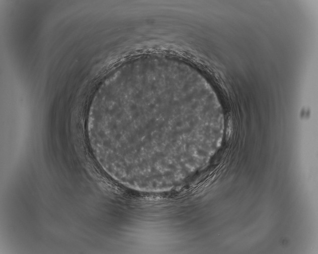 X0000095511489200801111401