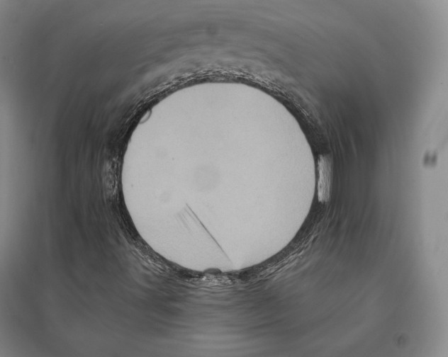 X0000095511491200801111401