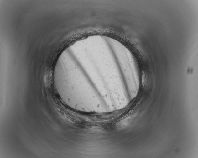 X0000095511492200801111401