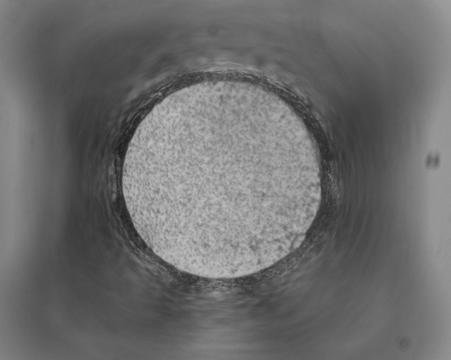 X0000095511493200801111401