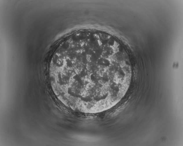 X0000095511494200801111401