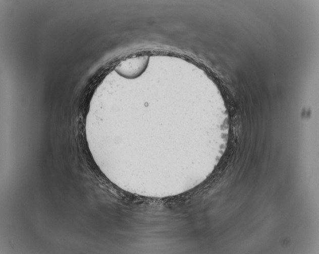 X0000095511495200801111401