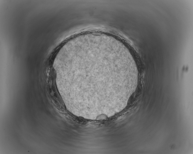 X0000095511496200801111401