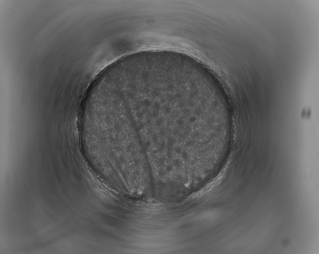 X0000095511497200801111401